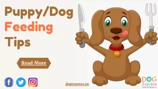 puppy dog feeding tips