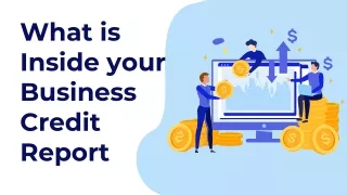 what is inside your business credit report