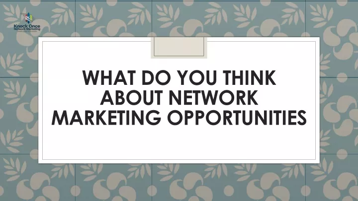 what do you think about network marketing opportunities