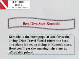 best dive sites komodo