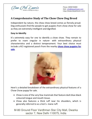 phone 09990730909 mail info@davpetlovers