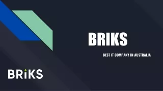 Briks  - Best IT company in Sydney