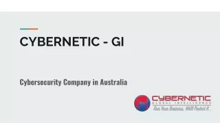 Cybernetic-GI Cyber Security Consulting Service