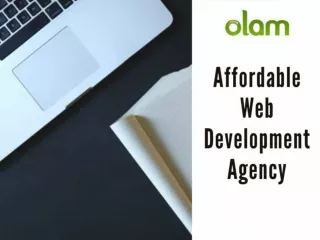 Affordable Web Development Agency