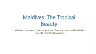 Maldives The Tropical Beauty
