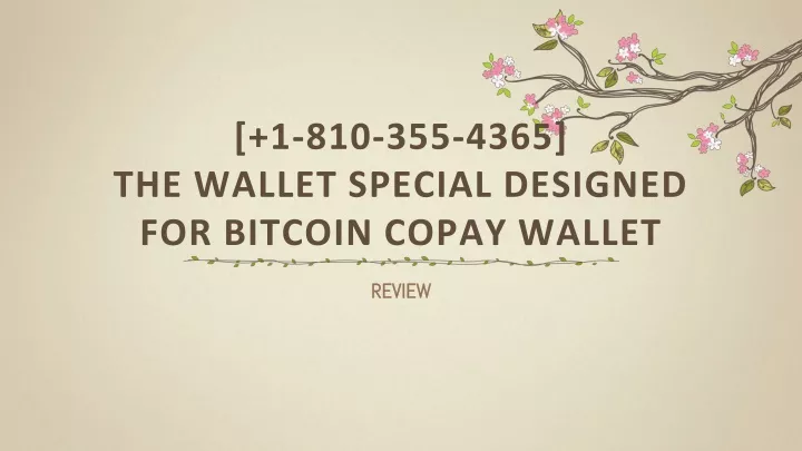 1 810 355 4365 the wallet special designed for bitcoin copay wallet