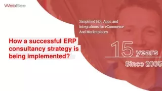 What are the concern areas addressed by a leading ERP consultancy Strategy