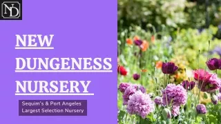 Hire the best Professional landscape gardeners with New Dungeness Nursery