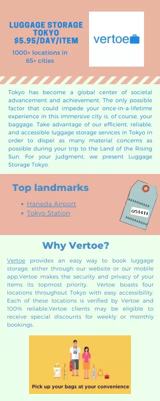 Vertoe Infographic Tokyo