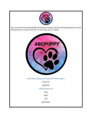 we are on sale for the best breed dogs like