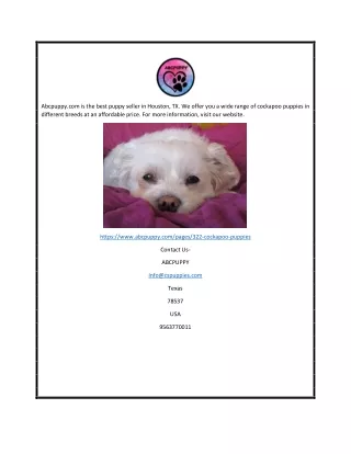 abcpuppy com is the best puppy seller in houston
