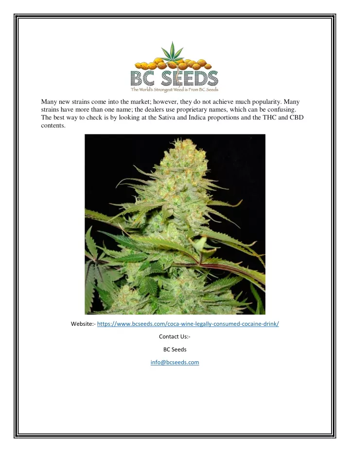 many new strains come into the market however