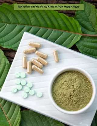 Try Yellow and Gold Leaf Kratom From Happy Hippo