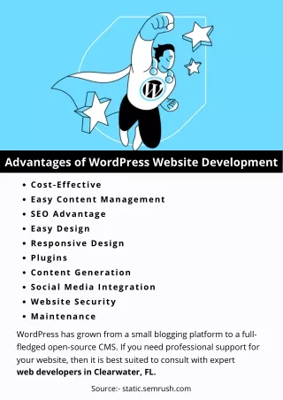 advantages of wordpress website development