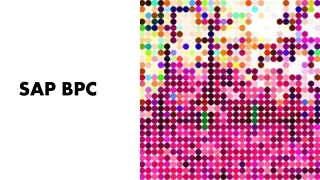sap bpc