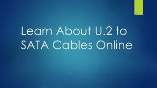 Learn About U.2 to SATA Cables Online