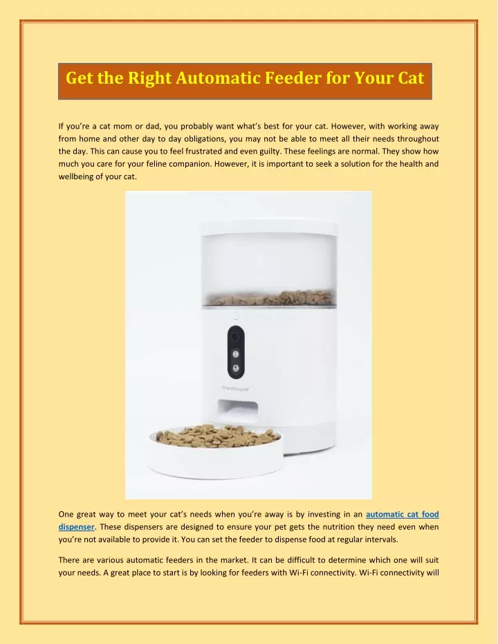 get the right automatic feeder for your cat