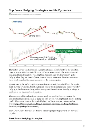 Top Forex Hedging Strategies and its Dynamics