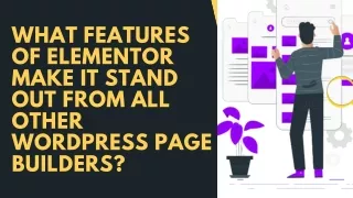 What Features of Elementor Make it stand out from all other WordPress Page Builders?