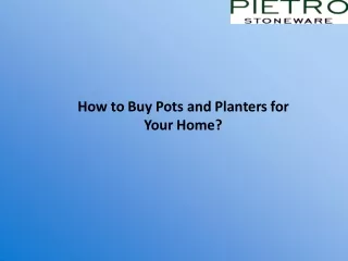 How to Buy Pots and Planters for Your Home?