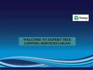 Welcome to expert tree lopping services logan