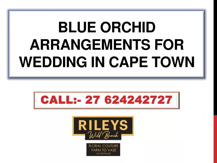 blue orchid arrangements for wedding in cape town