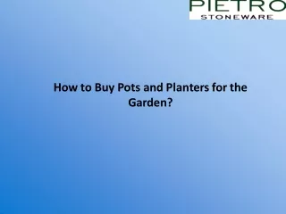 How to Buy Pots and Planters for the Garden?