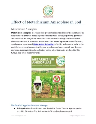 effect of metarhizium anisopliae in soil