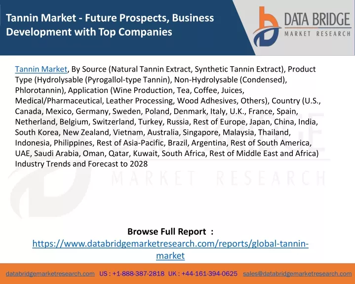 tannin market future prospects business