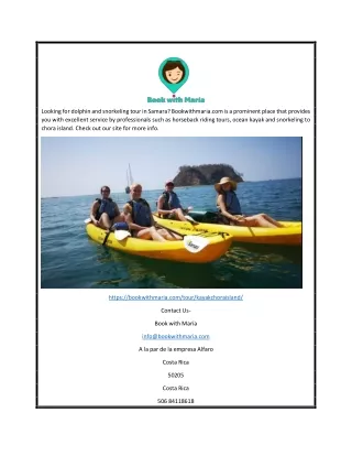 looking for dolphin and snorkeling tour in samara