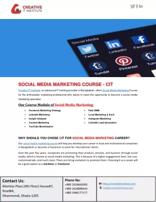 Social Media Marketing (SMM)