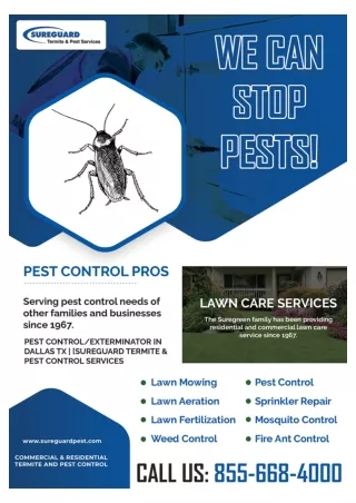 Dallas Spider Control | Dallas termite control company,