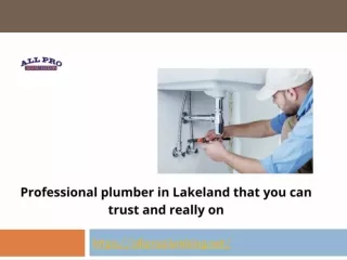 Professional plumber in Lakeland that you can trust and really on