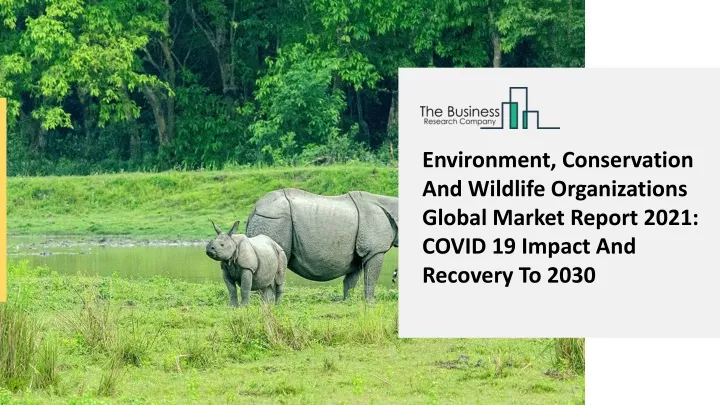 environment conservation and wildlife