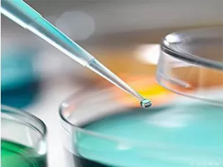 Freeze Drying Equipment
