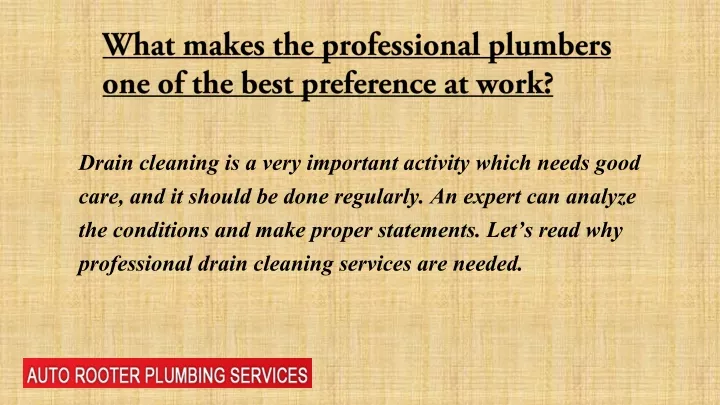 what makes the professional plumbers