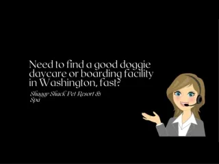 Need to find a good doggie daycare or boarding facility in Washington, fast?