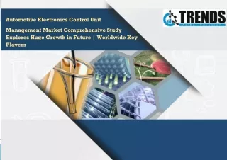 automotive electronics control unit