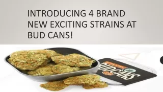 Introducing 4 Brand New Exciting Strains At Bud Cans!