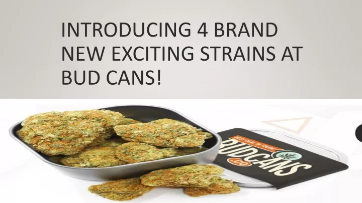 introducing 4 brand new exciting strains at bud cans