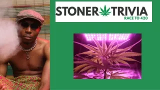 Stoner Trivia Expansion Pack
