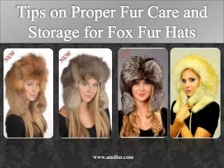 tips on proper fur care and storage