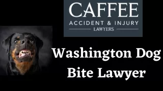 Washington Dog Bite Lawyer
