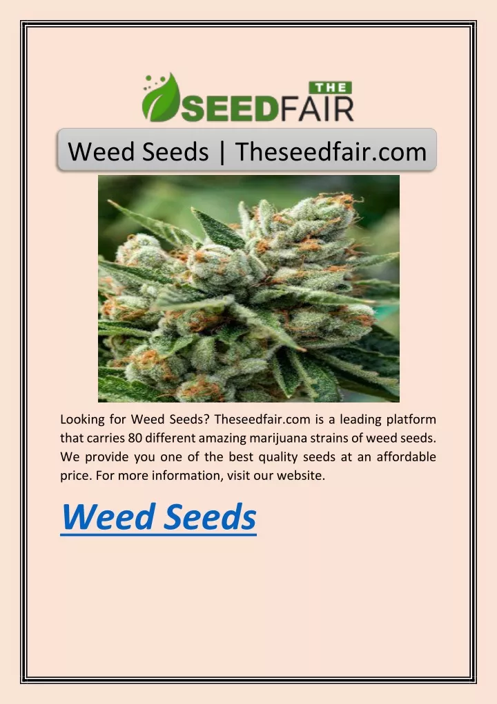 weed seeds theseedfair com