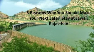 5 Reasons Why You Should Make Your Next Safari Stay at Jawai, Rajasthan