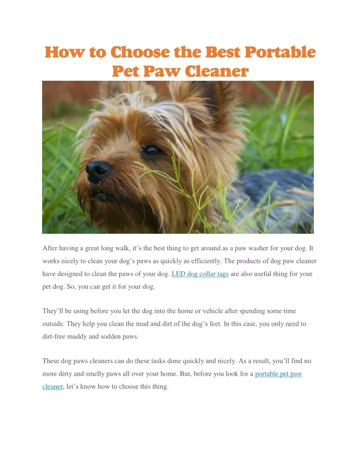 how to choose the best portable pet paw cleaner