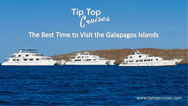 the best time to visit the galapagos islands