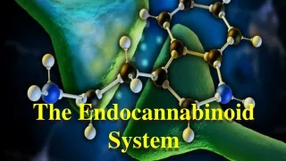 the endocannabinoid system