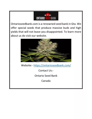 ontarioseedbank com is a renowned seed bank