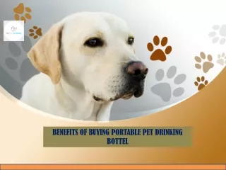 Benefits of Buying portable pet drinking bottol
